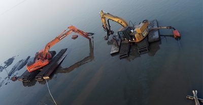 Company Founding and Industry Startups